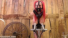 Horny Porn Video Bondage Craziest Only For You