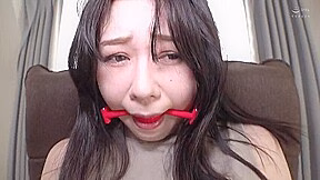 x3x9347A07043C7DCEDAA